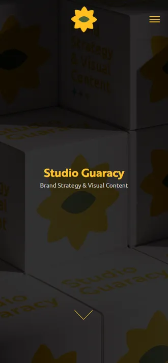 Site Studio Guaracy no celular